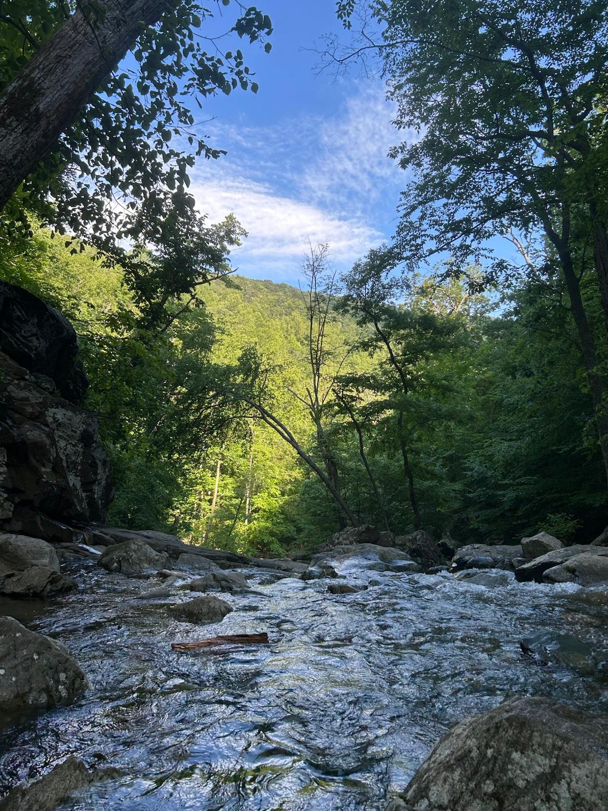 White Oak Trail in Shenandoah National Park